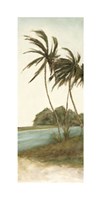 Trish's Palms II Giclee