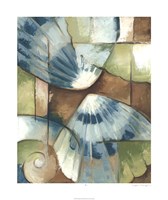 Shell Collage II Giclee