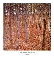 Forest of Beeches, c.1903 Fine Art Print