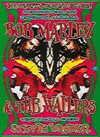 Bob Marley & Stevie Wonder Fine Art Print