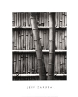 Bamboo and Wall Framed Print