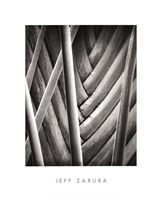 Palm Pattern by Jeff Zaruba - 16" x 20"
