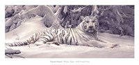 White Tiger by Daniel Smith - 30" x 14"