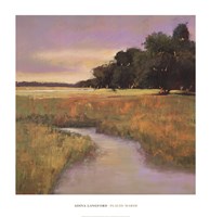 Placid Marsh Fine Art Print