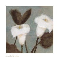 Solace Fine Art Print