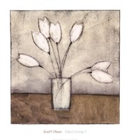 Tulipa Group I Fine Art Print