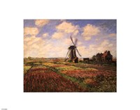Tulip Fields with Windmill Fine Art Print