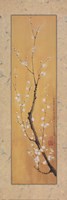 Cherry Blossom II by Suzanna Mah Fong - 12" x 36"