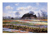 Tulip Fields at Sassenheim by Claude Monet - various sizes