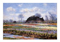 Tulip Fields at Sassenheim Fine Art Print