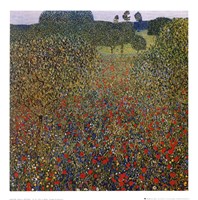 Field of Poppies, c.1907 Fine Art Print