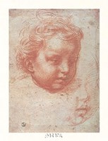 Head of a Child by Andrea Del Sarto - 12" x 18"
