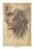 Head of an Apostle by Andrea Del Sarto - 11" x 18"