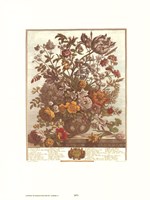 May/Twelve Months of Flowers, 1730 Framed Print