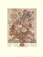 June/Twelve Months of Flowers, 1730 Framed Print