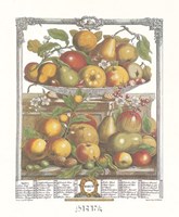 March/Twelve Months of Fruits, 1732 by Robert Furber, 1732 - 9" x 12" - $10.49