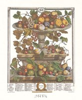 June/Twelve Months of Fruits, 1732 Fine Art Print