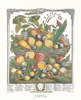 July/Twelve Months of Fruits, 1732 by Robert Furber, 1732 - 9" x 12" - $10.49