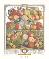 September/Twelve Months of Fruits, 1732 Fine Art Print