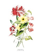 Flowers (Untitled) - Bouquet by Louise Anne Twarmley - 7" x 11"