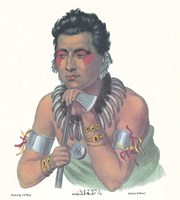 Chief of the Ioways Framed Print