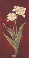 Tulips on Cinnabar I Fine Art Print