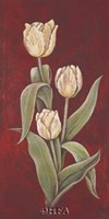 Tulips on Cinnabar II Fine Art Print