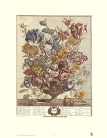 April/Twelve Months of Flowers, 1730 Fine Art Print