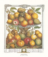 February/Twelve Months of Fruits, 1732 Fine Art Print