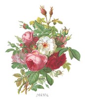 Antique Roses by Elliot Parker - 17" x 20", FulcrumGallery.com brand