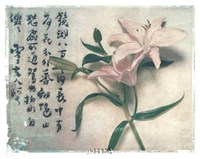 Oriental Lily Fine Art Print
