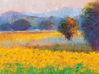 Sunflowers in Provence Fine Art Print