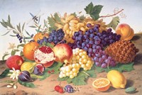 Still Life of Grapes, Pineapple, Figs Fine Art Print