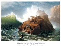 Seal Rock (detail) by Albert Bierstadt - 30" x 23"