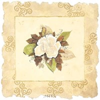 Victorian Magnolia by George Caso - 20" x 20"