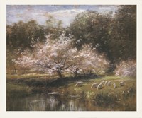 Sheep Grazing Under Apple Blossoms Fine Art Print