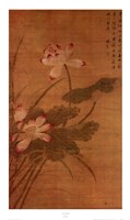 Lotus Flowers by Mei Feng - 19" x 32"
