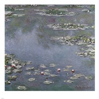 Waterlilies Fine Art Print