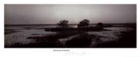South Carolina Shore by Richard D'amore - 38" x 16"