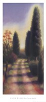 Tuscan Road II by David Wander - 18" x 40"