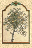 Classical Pear Fine Art Print