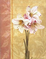 Flower Bouquet II Fine Art Print