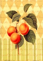 5" x 7" Fruit Art