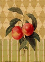 Botanical Peaches Fine Art Print