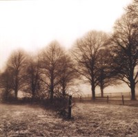 Fence Row and Trees Framed Print
