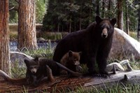 New Discoveries Fine Art Print