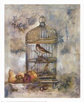 Song Bird I Fine Art Print