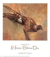 El Faisan Cobrizo One Fine Art Print