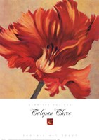Tulipan Three Fine Art Print