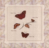 Papilio I Fine Art Print
